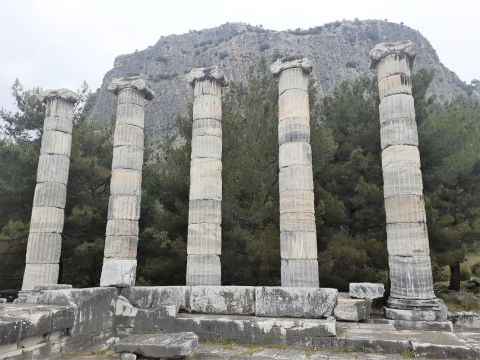 BAFA GÖLÜNÜN HAZİNELERİ